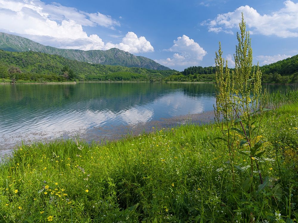 Nature reserve Sary-Chelek (Sary-Tschelek)-UNESCO World Heritage Site-Western Tien Shan